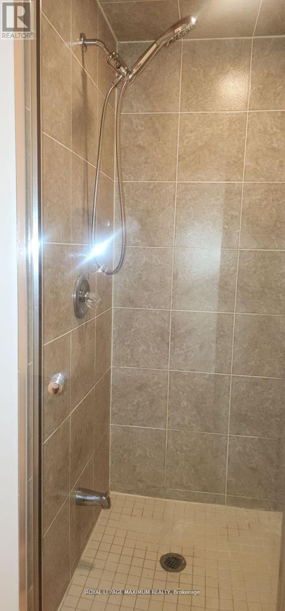Basement - 19 Maple Forest Drive, Vaughan, ON - Indoor Photo Showing Bathroom