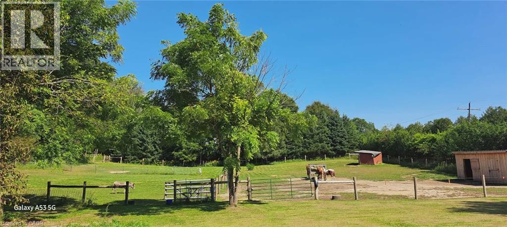 Summer picture off the pasture - 535 Mcdowell Road E, Simcoe, ON