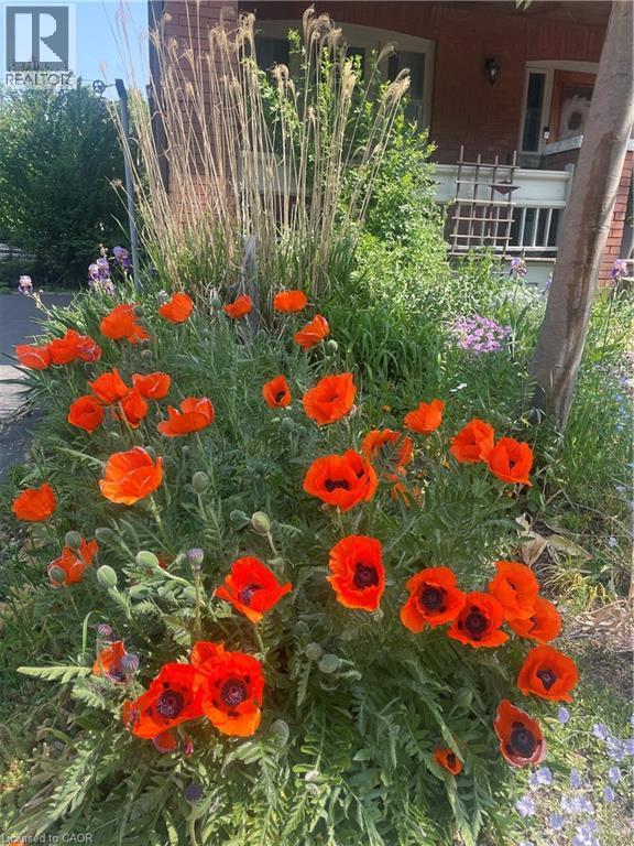 1 Rutherford Avenue, Hamilton, ON - Outdoor