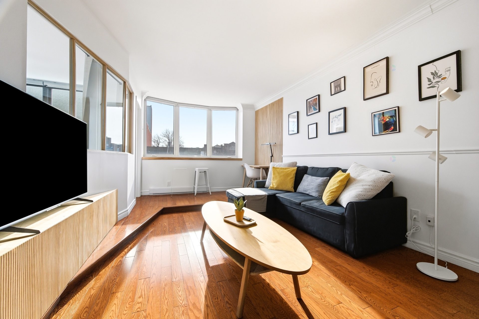 Salon - 204-6339 Rue St-Hubert, Montréal (Rosemont/La Petite-Patrie), QC - Indoor Photo Showing Living Room