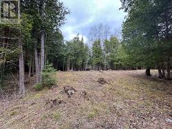 00 SNOWDONS CORNERS ROAD Merrickville-Wolford, ON K0G 1N0