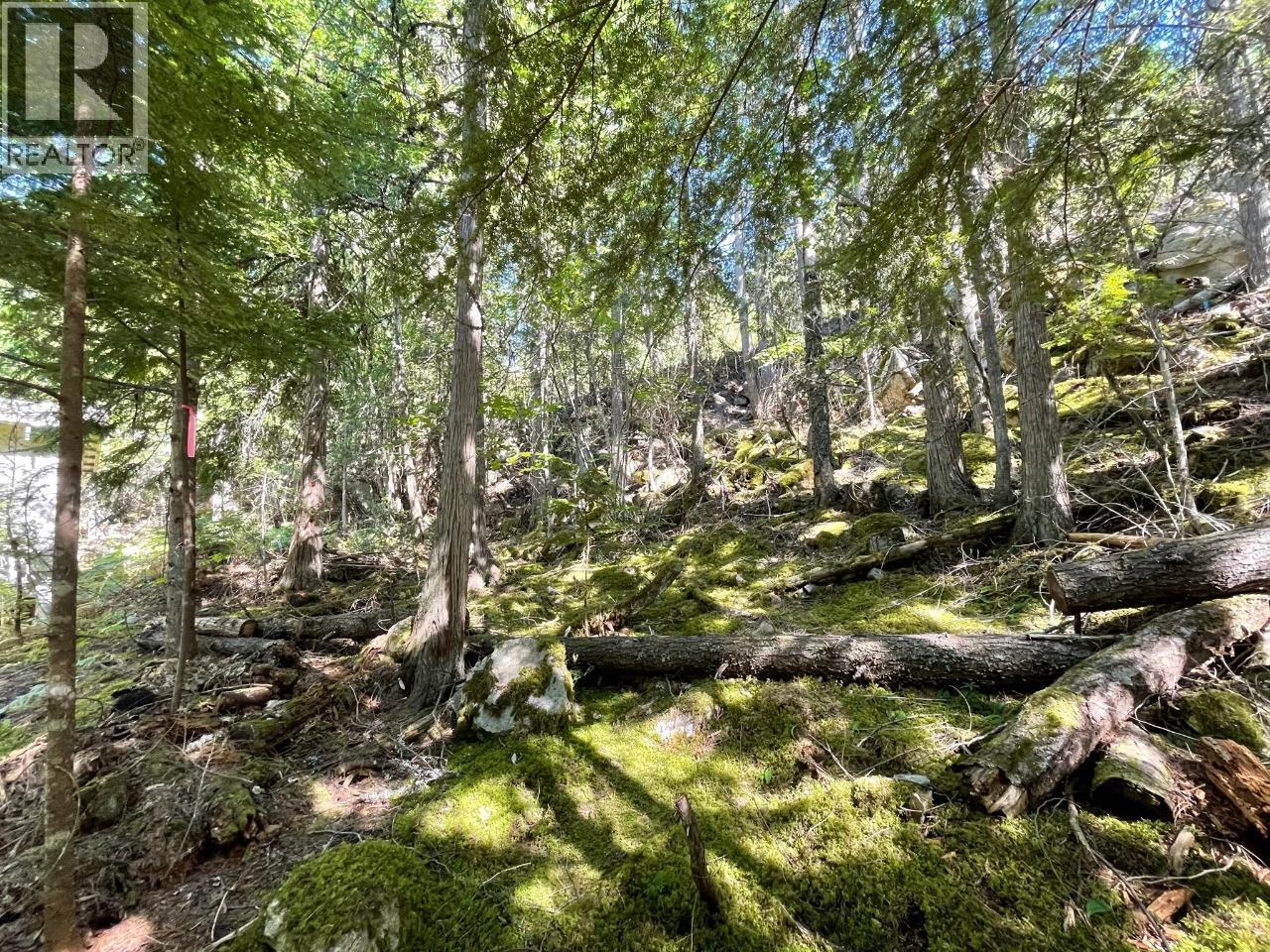 237 Rainbow Ridge Road, Procter, BC