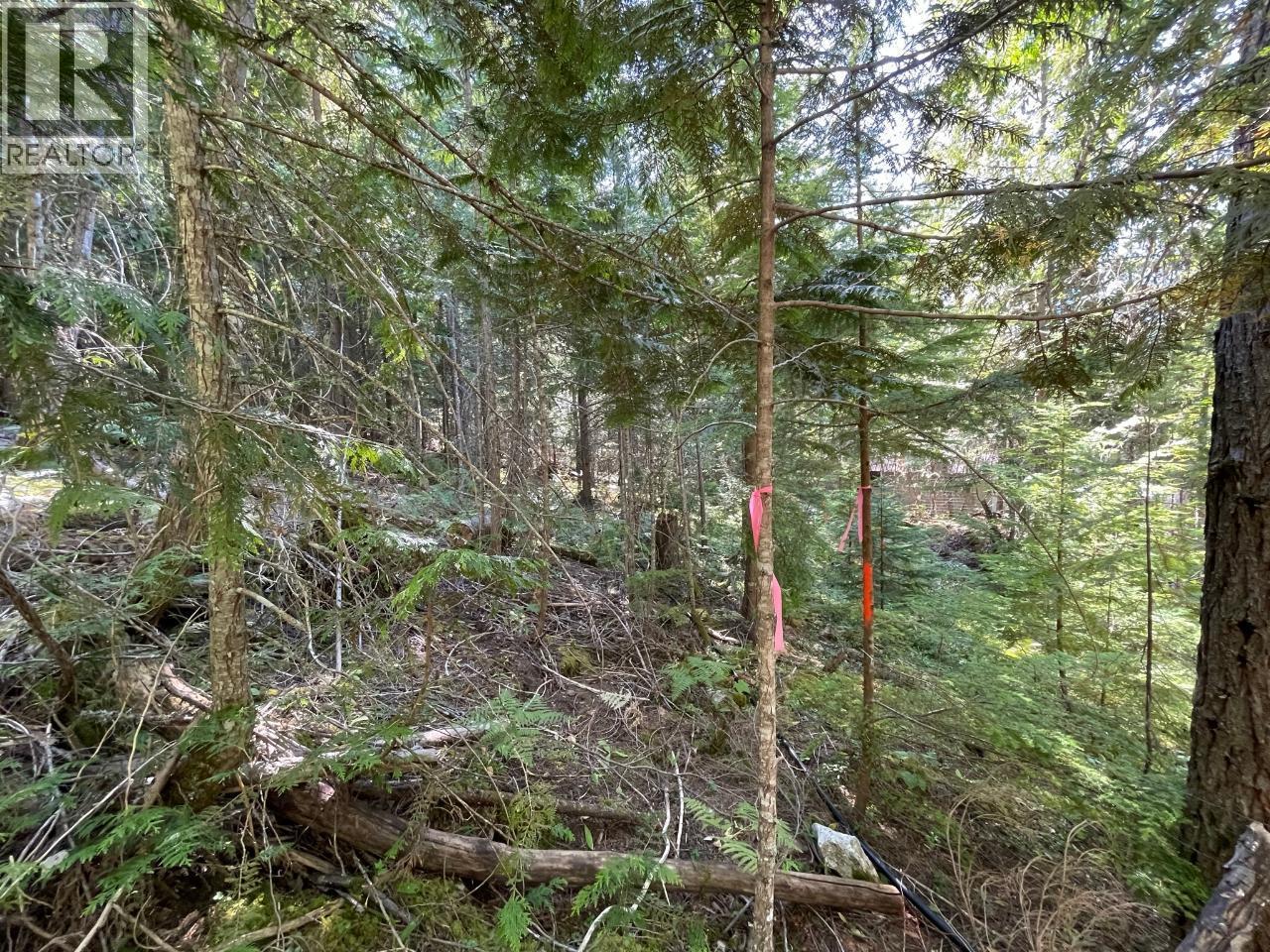 237 Rainbow Ridge Road, Procter, BC