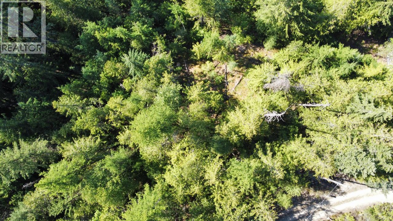 237 Rainbow Ridge Road, Procter, BC