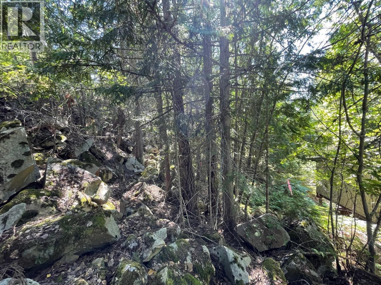 237 Rainbow Ridge Road, Procter, BC