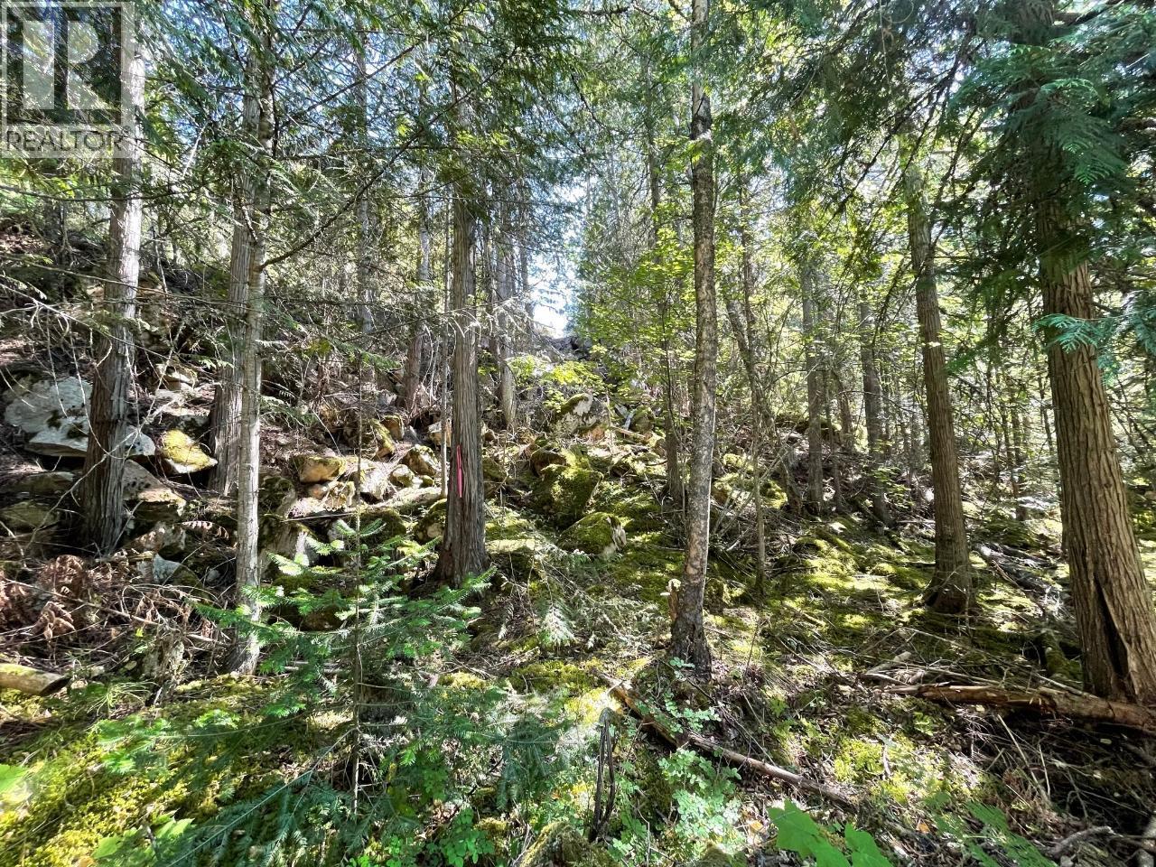 237 Rainbow Ridge Road, Procter, BC