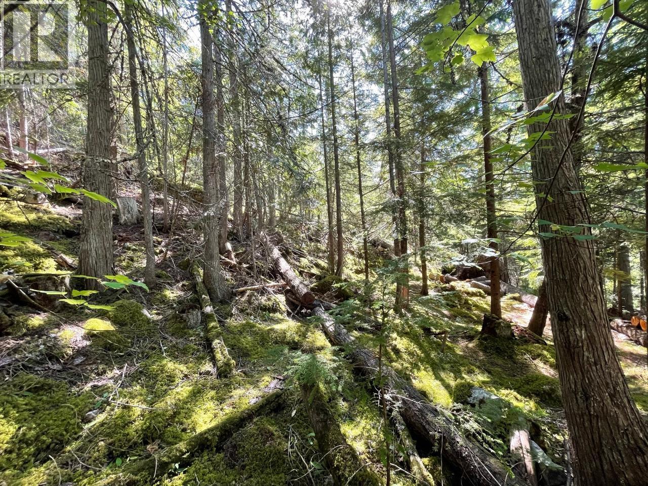 237 Rainbow Ridge Road, Procter, BC