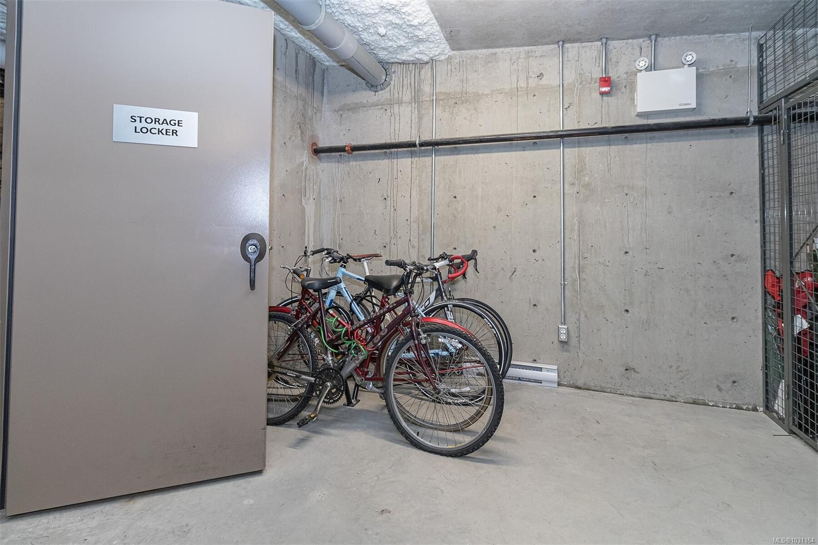 307-2500 Hackett Cres, Central Saanich, BC - Indoor Photo Showing Garage