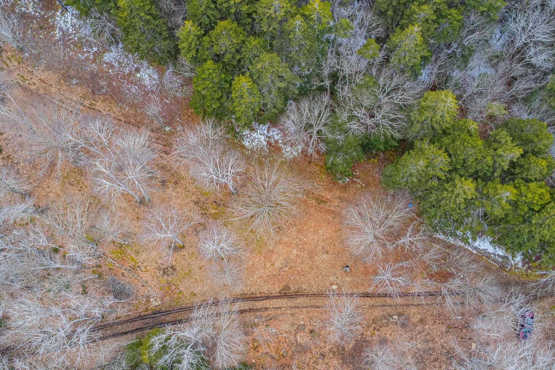 Lot Peter Leblanc Road, Meteghan, NS