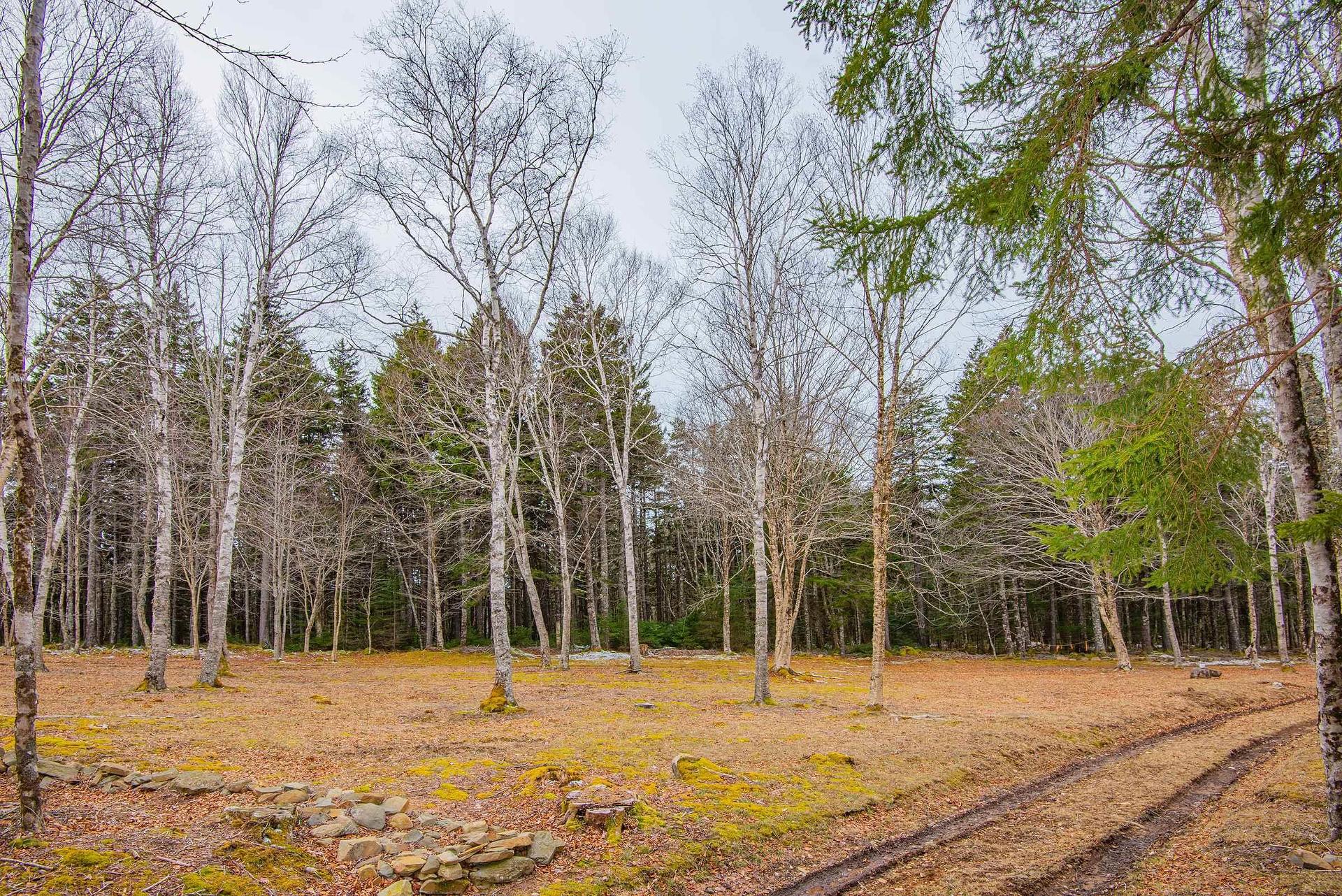 Lot Peter Leblanc Road, Meteghan, NS