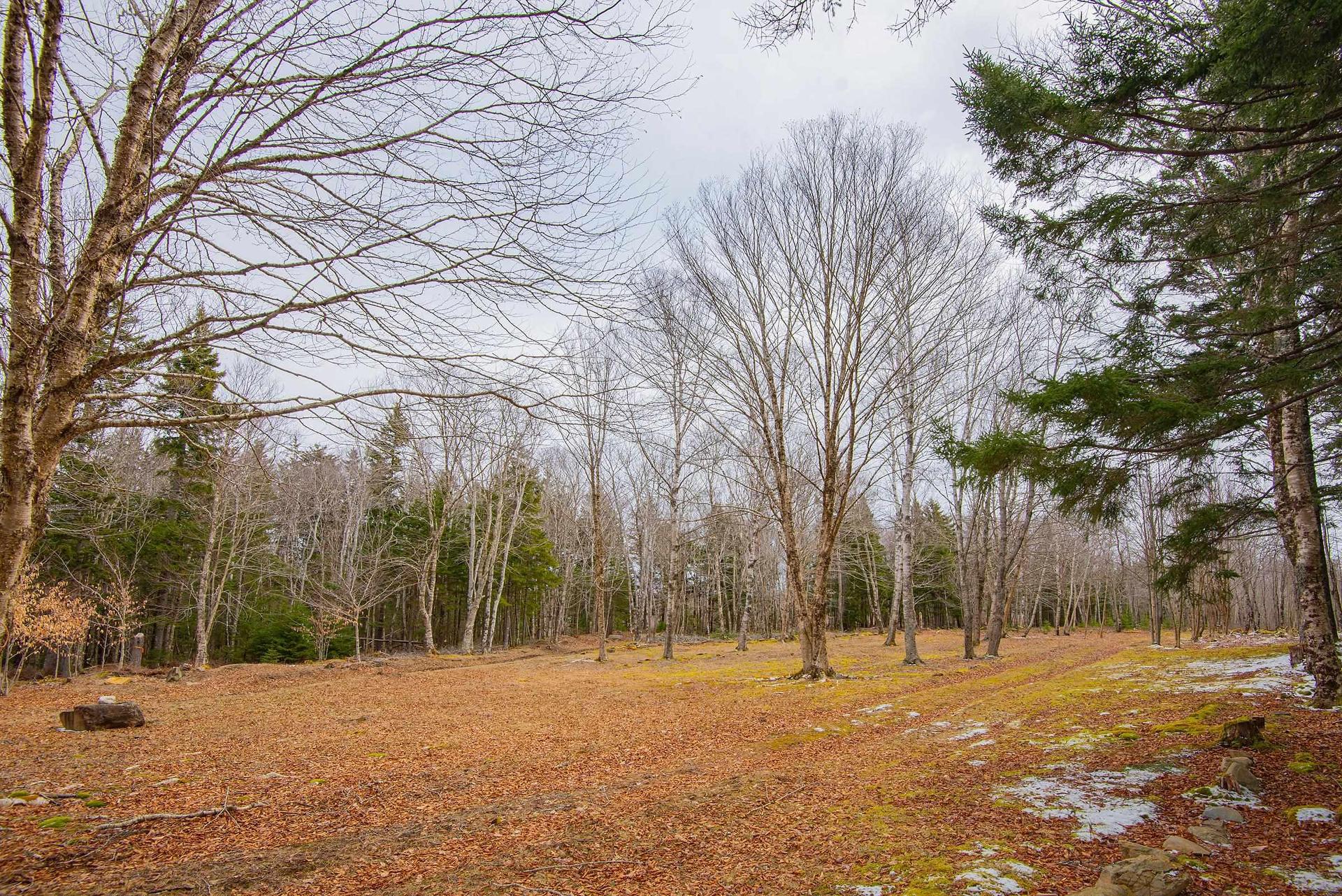 Lot Peter Leblanc Road, Meteghan, NS
