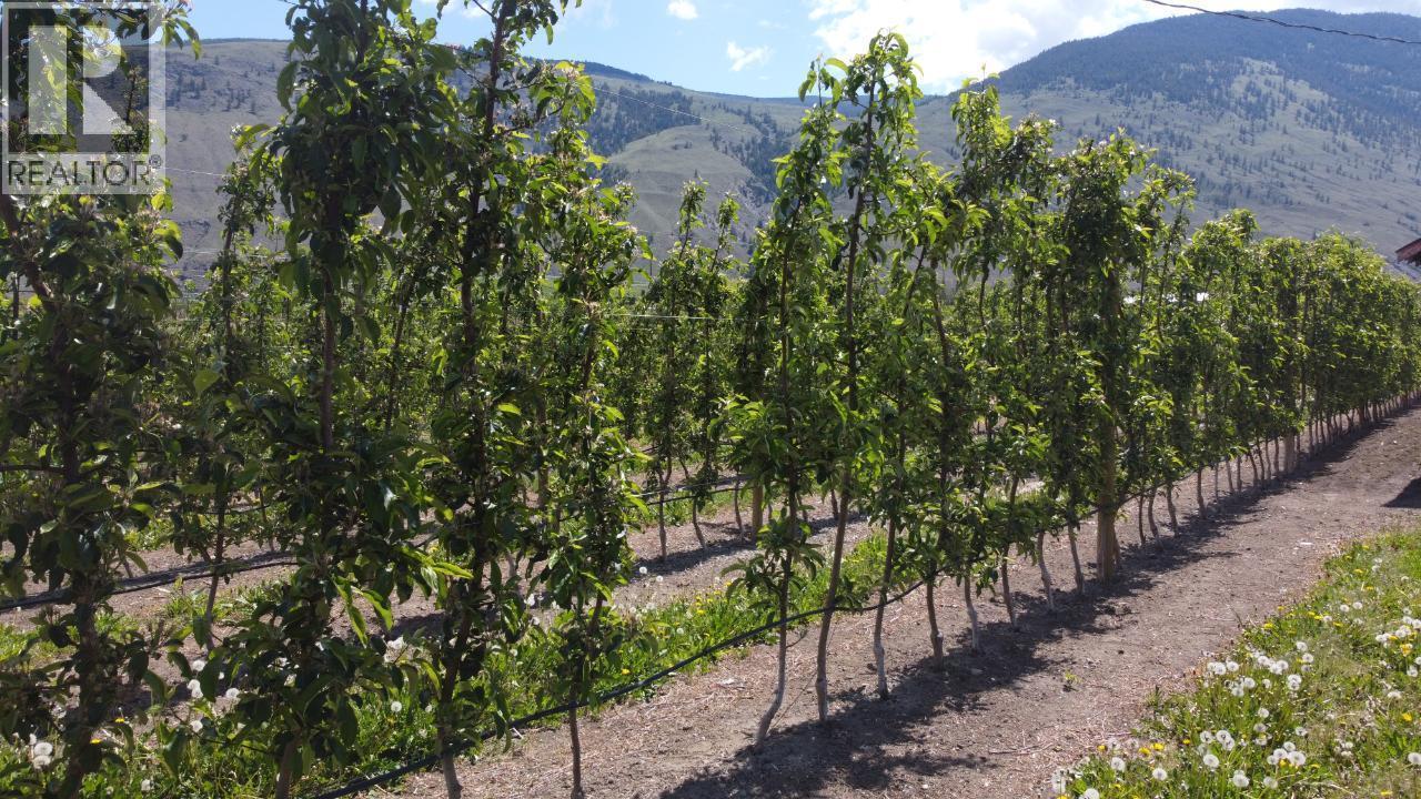 696 Lowe Drive, Cawston, BC