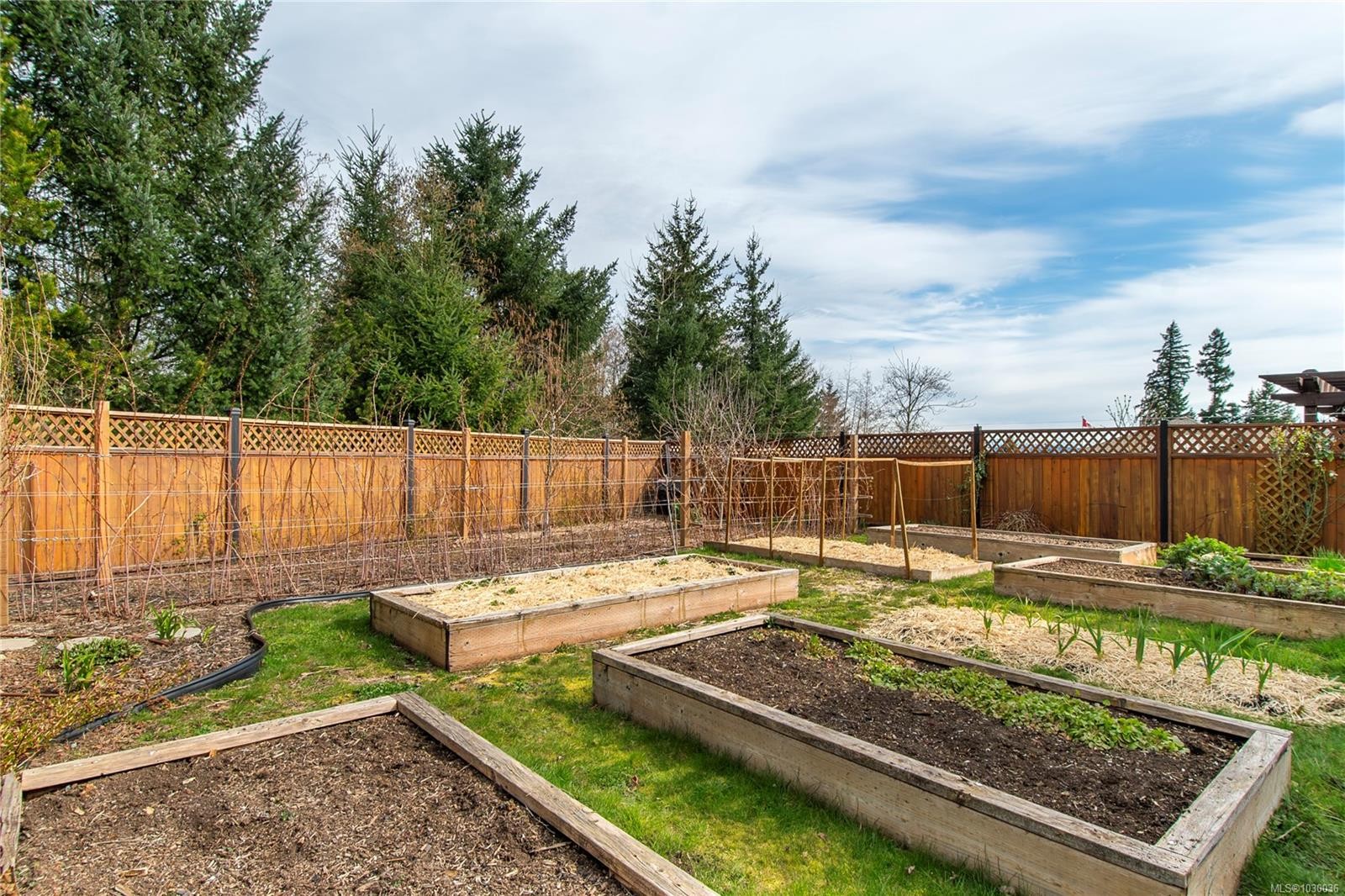 43-2000 Treelane Rd, Campbell River, BC