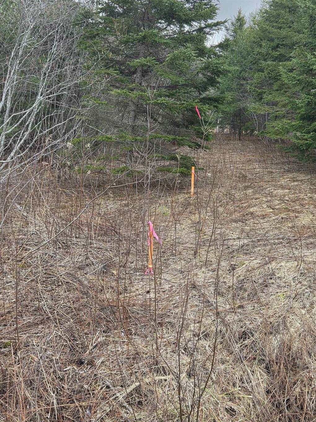 Cvm-A Highway 236, Stanley, Stanley, NS