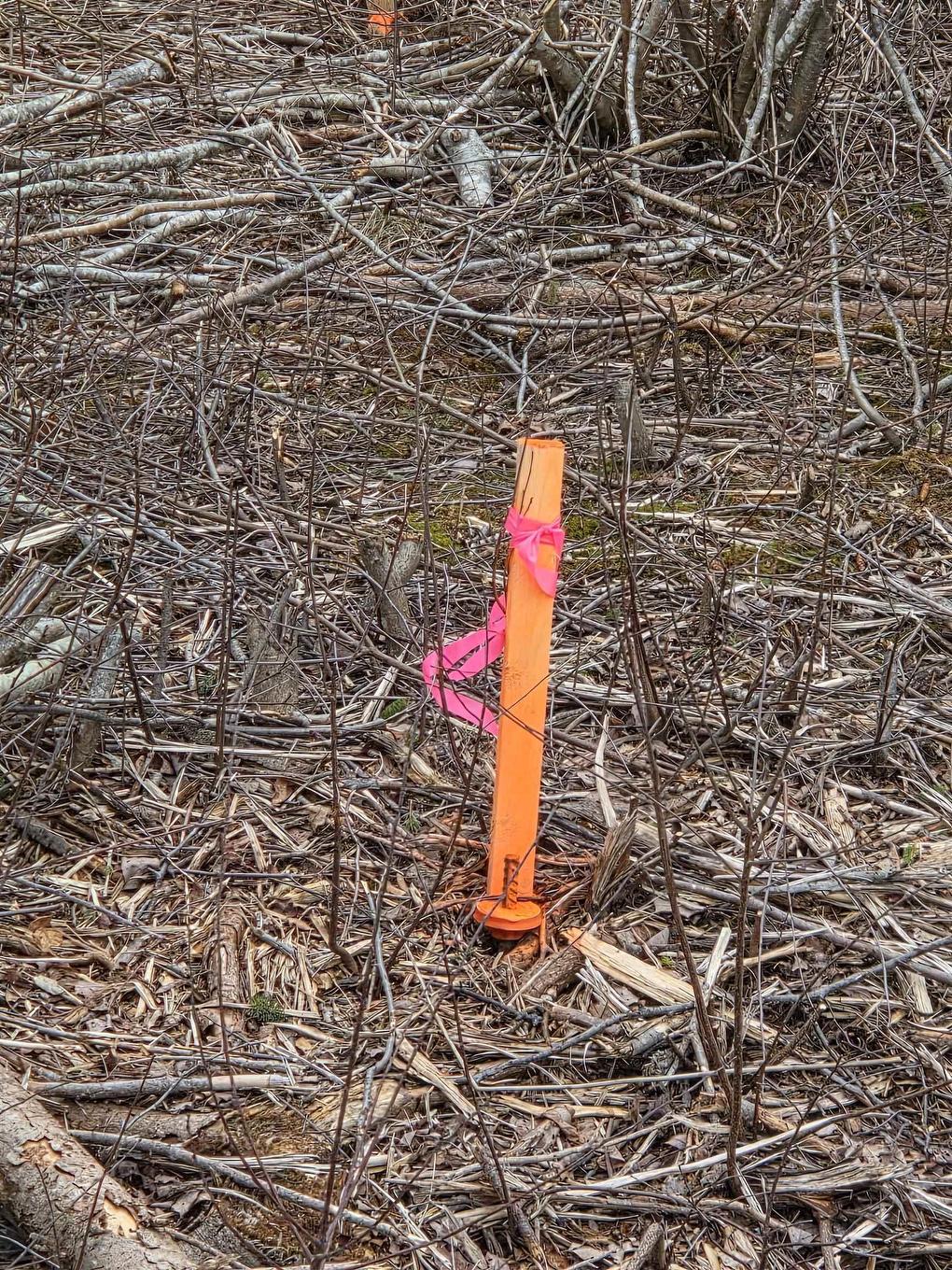 Cvm-A Highway 236, Stanley, Stanley, NS