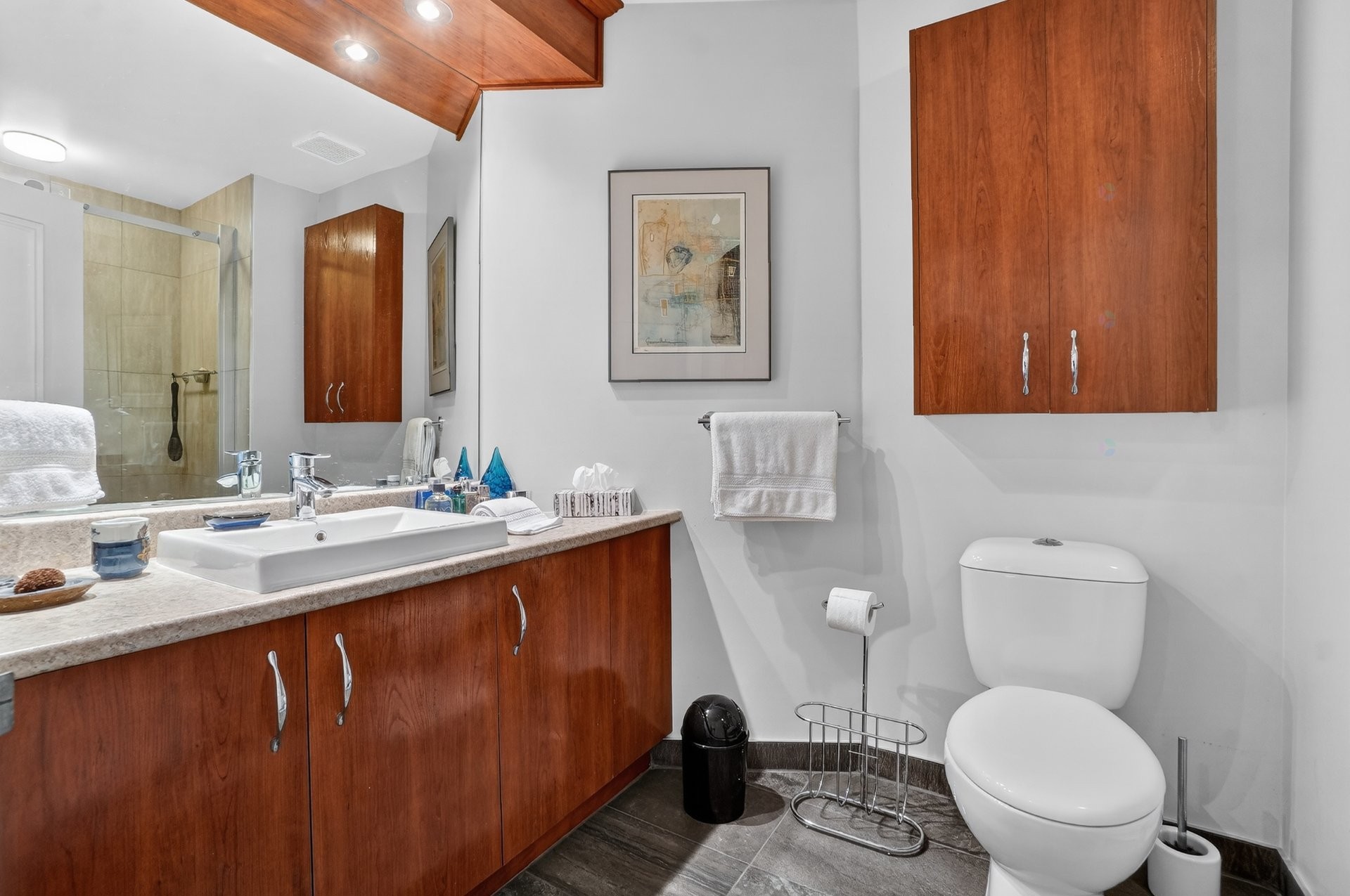 Bathroom - 108-1665 Av. Victoria, Saint-Lambert, QC - Indoor Photo Showing Bathroom
