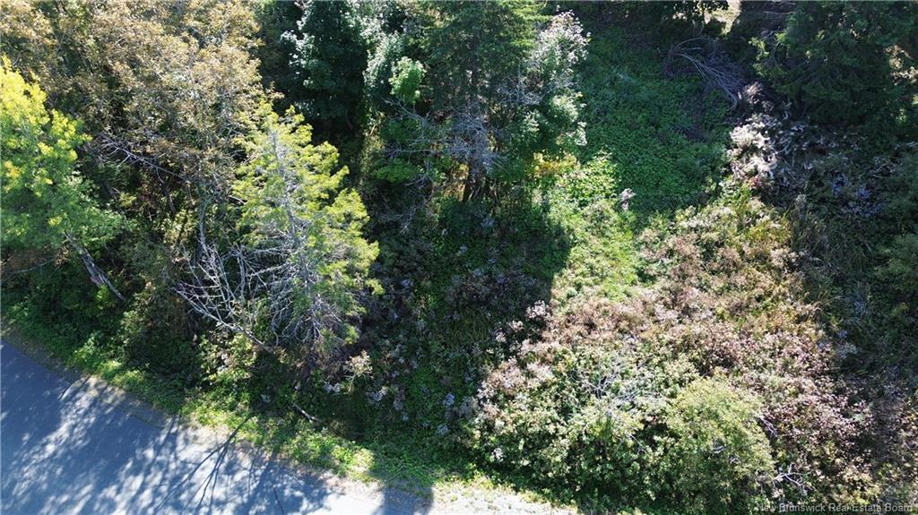 Vacant Land Cote Bleue Dr, Bathurst, NB