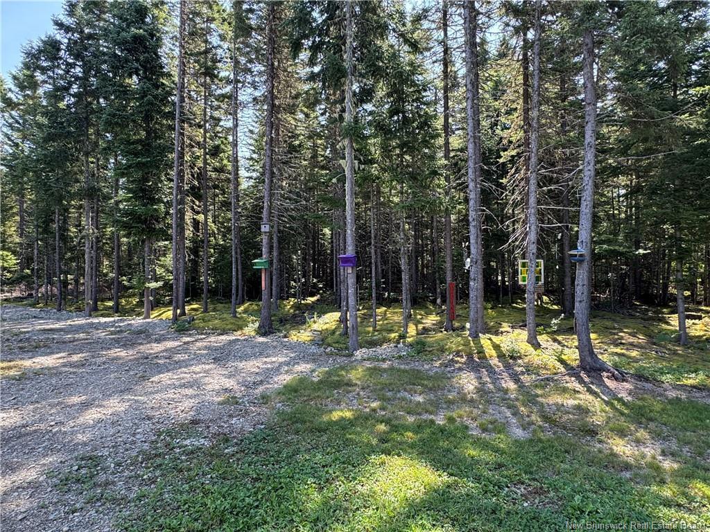 11 Burt Cliff Rd, Juniper, NB