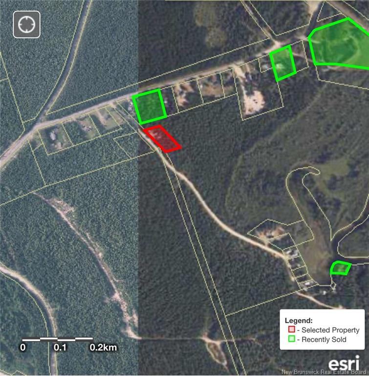 11 Burt Cliff Rd, Juniper, NB