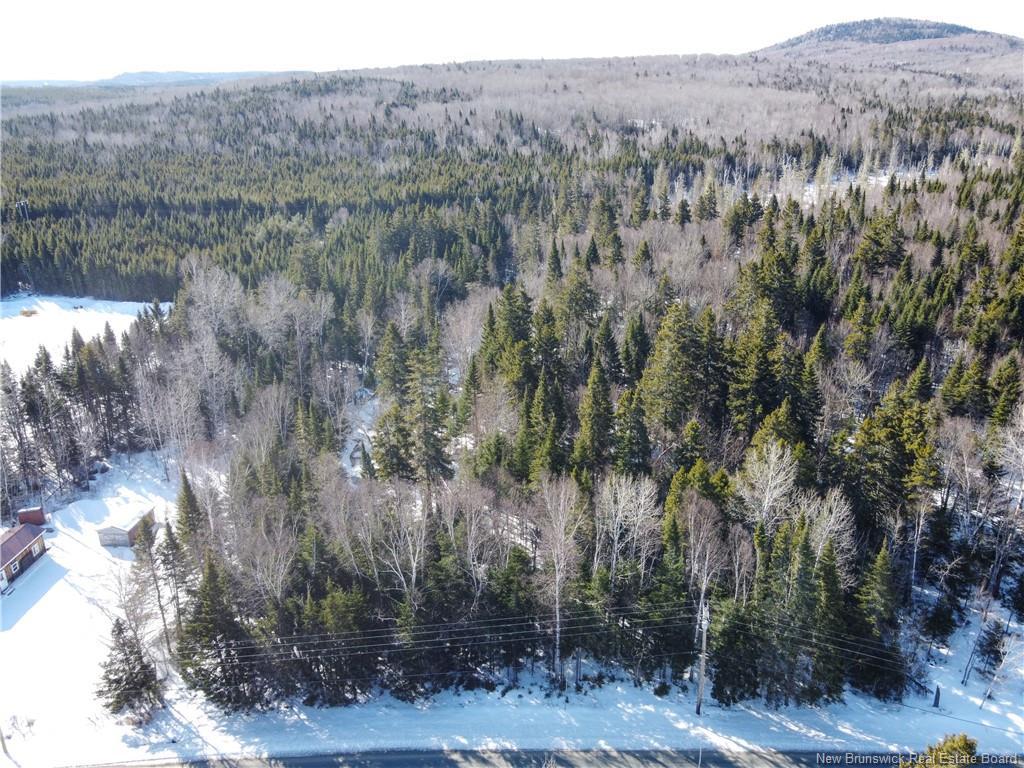 Lot 107 Rte, Juniper, NB