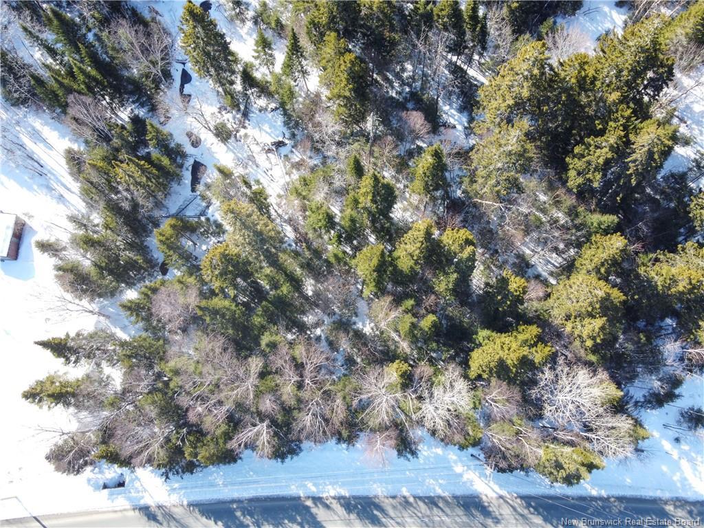 Lot 107 Rte, Juniper, NB