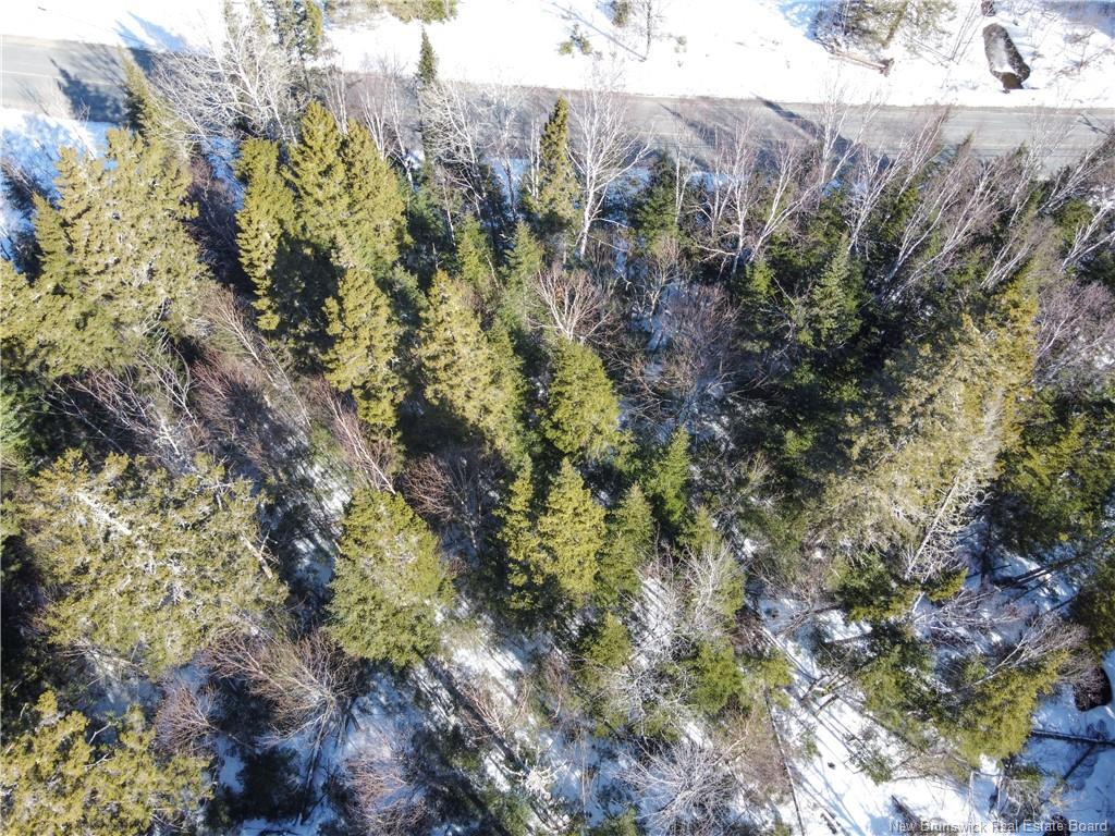 Lot 107 Rte, Juniper, NB