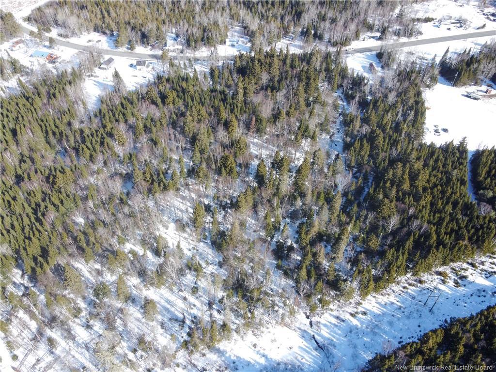 Lot 107 Rte, Juniper, NB