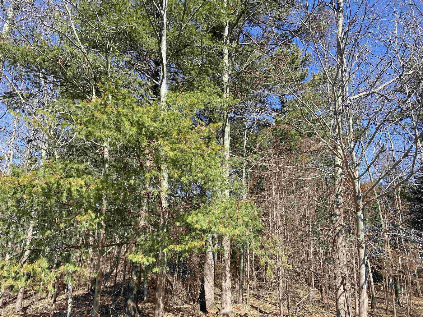 20 Mountain View Road, Coldbrook, NS