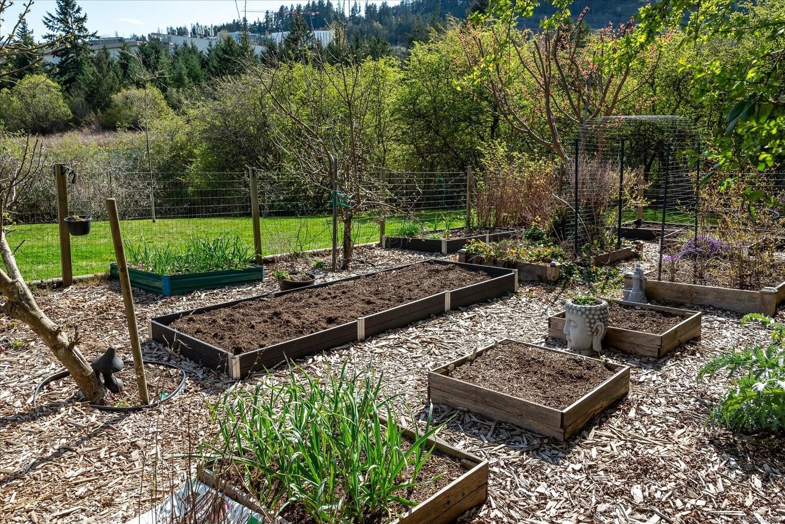 231 Derby Pl, Nanaimo, BC