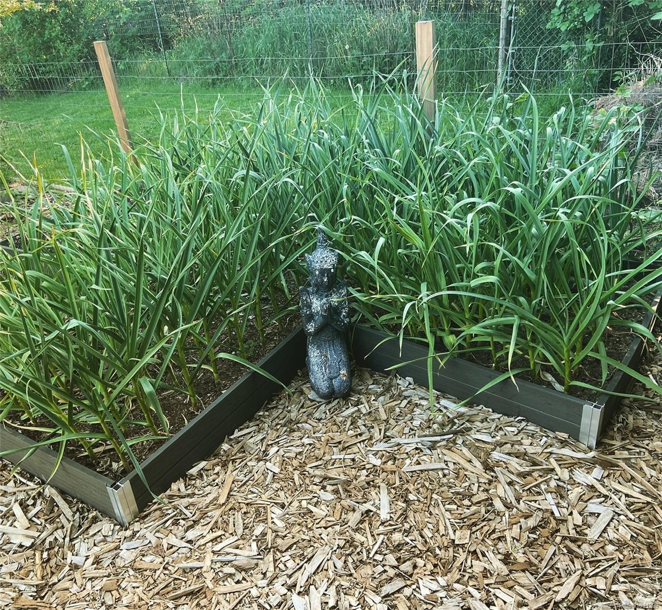 231 Derby Pl, Nanaimo, BC