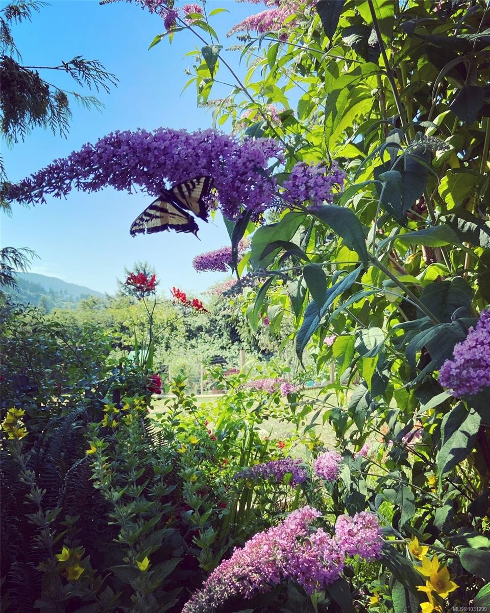 231 Derby Pl, Nanaimo, BC