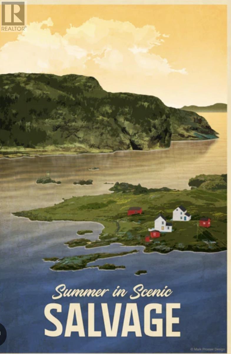 18-20 Burdens Point, Salvage, NL - Outdoor With View