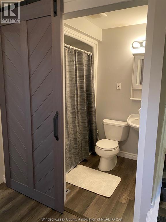 869 Ford, Windsor, ON - Indoor Photo Showing Bathroom