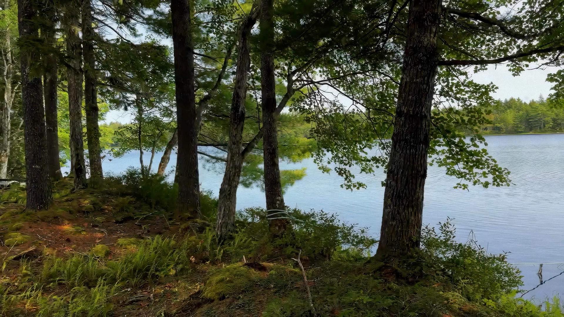 Lot 2 Robert E Road, Kemptville, NS