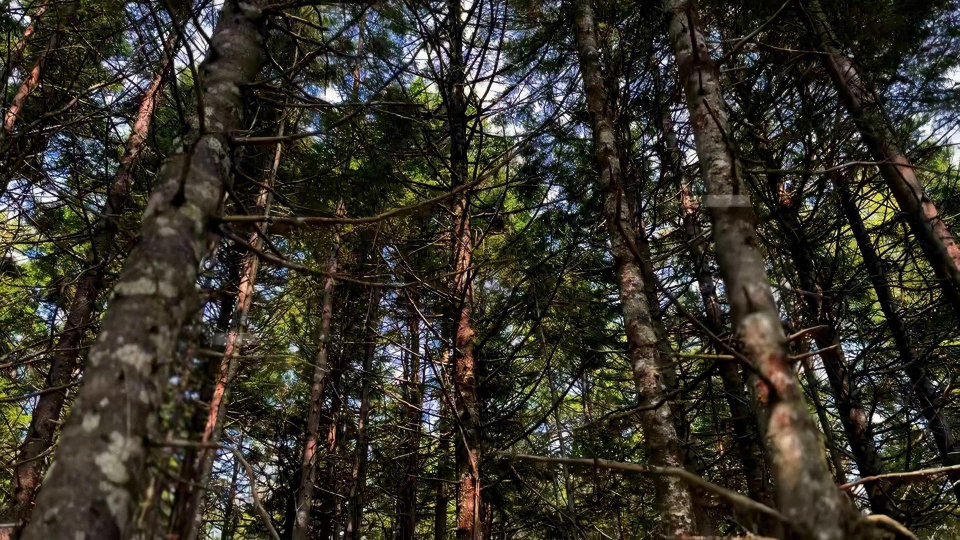 Lot 2 Robert E Road, Kemptville, NS