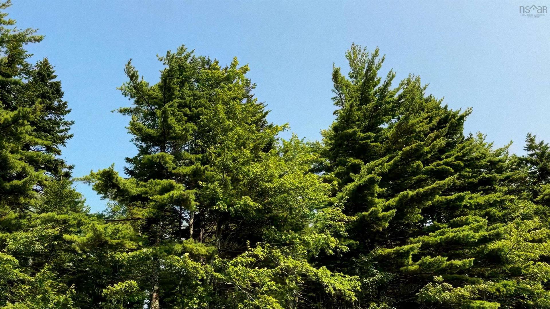 Lot 2 Robert E Road, Kemptville, NS