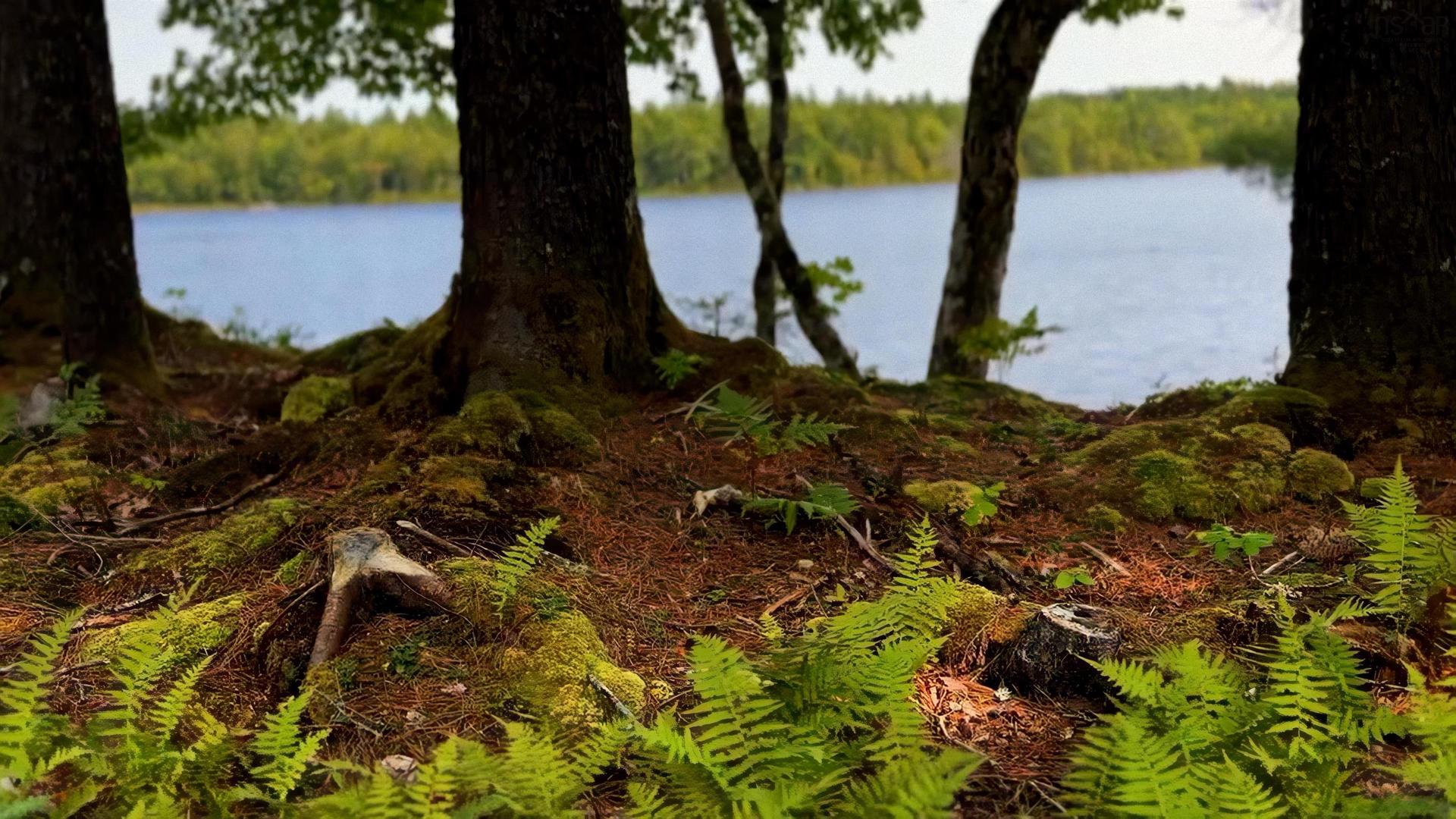 Lot 2 Robert E Road, Kemptville, NS