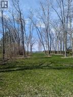 V/L OLD VINE ROAD Pelee Island, ON N0R 1M0