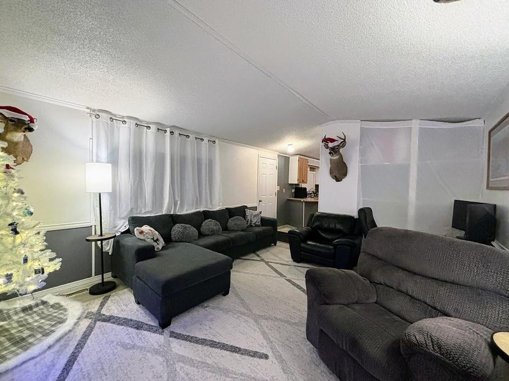 31 Coveney Street, Marathon, ON - Indoor Photo Showing Living Room