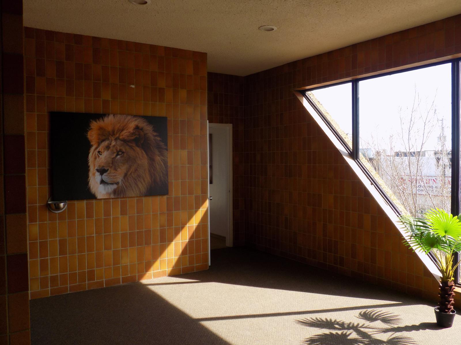 5108 50 Avenue, Wetaskiwin, AB