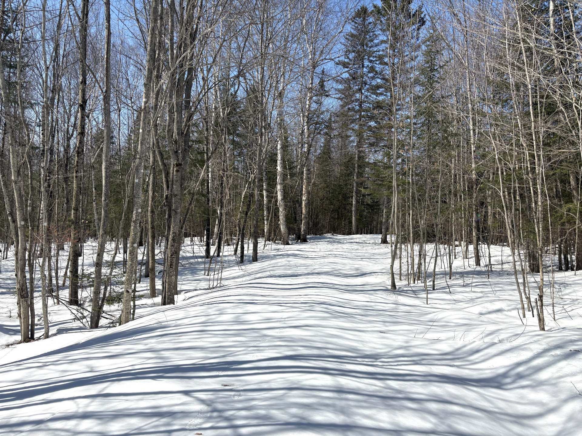 Lot - Ch. Des Sternes, Nominingue, QC