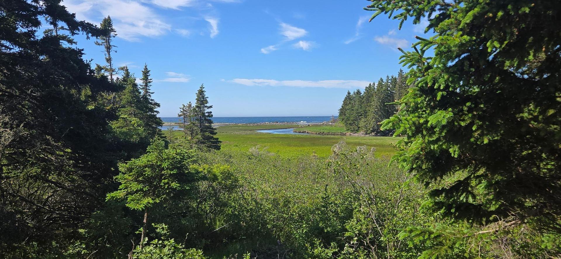 7741 Highway 331, Cherry Hill, NS - Outdoor With View
