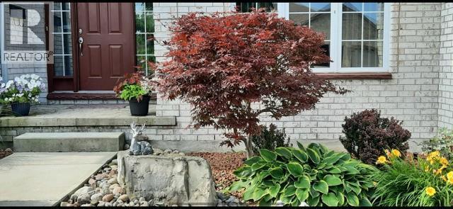 111 Bridlepath Trail, Sarnia, ON - Outdoor