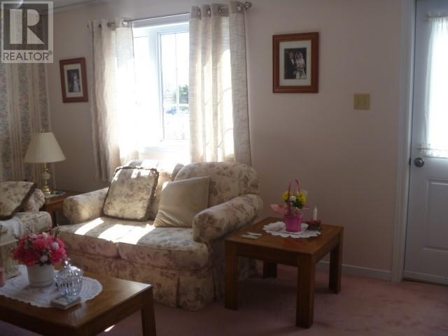 Living room - 2 Osmonds Lane, Carbonear, NL - Indoor Photo Showing Living Room