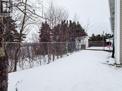 Fenced in yard -