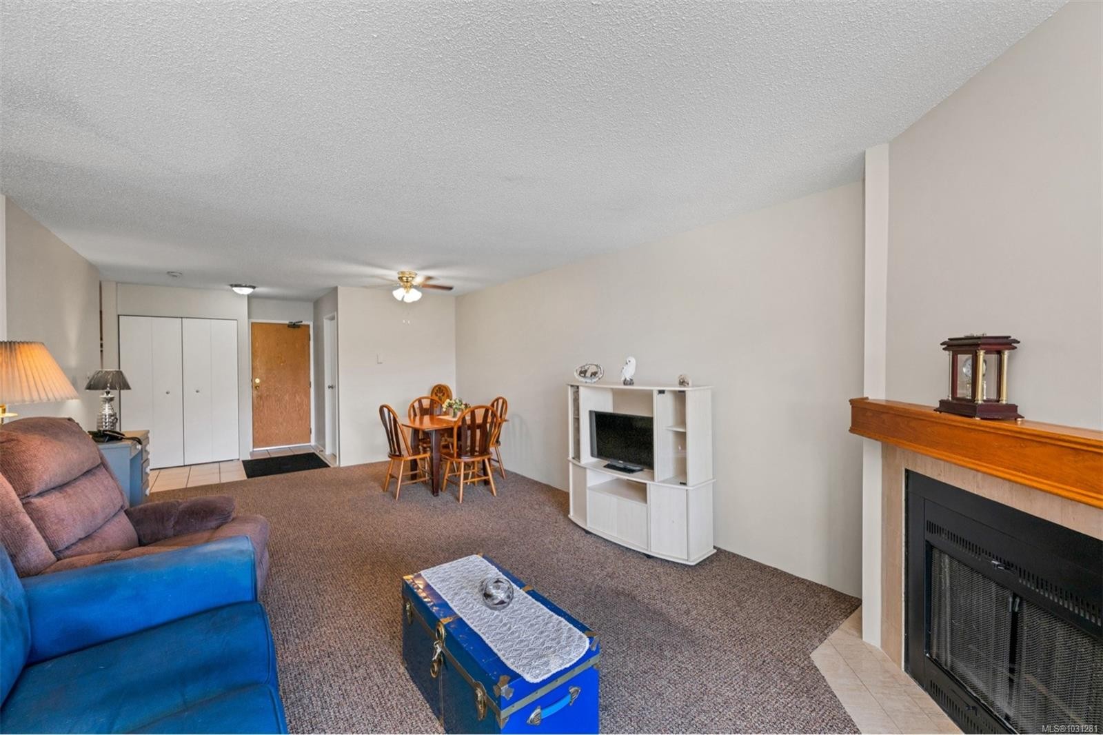 404-435 Festubert St, Duncan, BC - Indoor Photo Showing Living Room With Fireplace