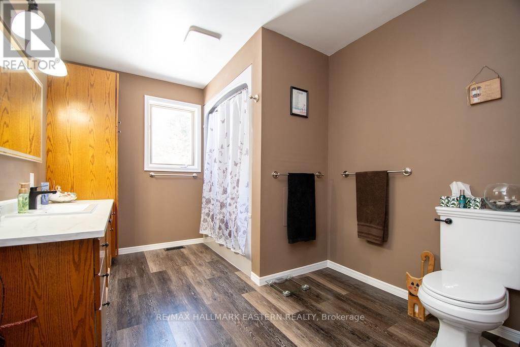 1079 Rock Road, Douro-Dummer, ON - Indoor Photo Showing Bathroom