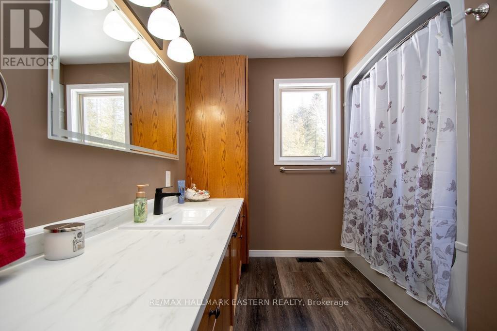 1079 Rock Road, Douro-Dummer, ON - Indoor Photo Showing Bathroom