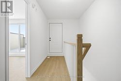 Walk-out Terrace -