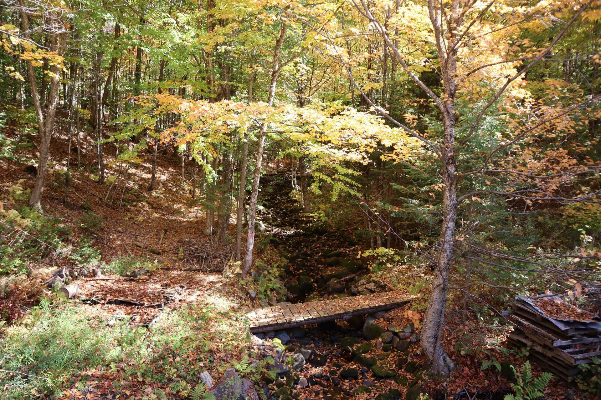 Vue - Ch. De Mille-Isles, Mille-Isles, QC
